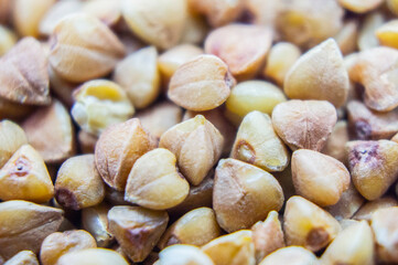 Buckwheat groats closeup. Macro photography