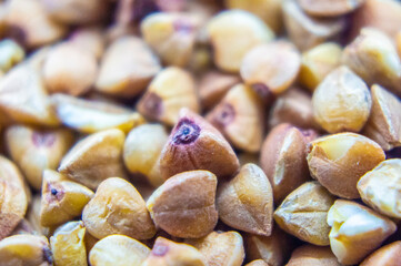 Buckwheat groats closeup. Macro photography