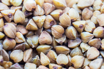 Buckwheat groats closeup. Macro photography