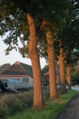 Fotobehang Historic barn of farm. Prinses Marianne Hoeve. Wilhelminaoord. Maatschappij van Weldadigheid Frederiksoord Drenthe Netherlands © A
