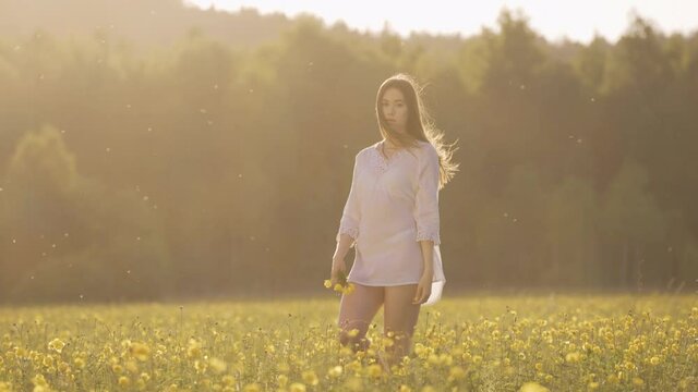 A romantic girl in a white transparent dress walks in a field with yellow flowers.