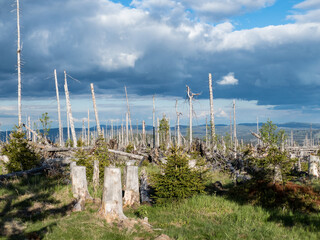 natural landscape in sumava national park i czechia