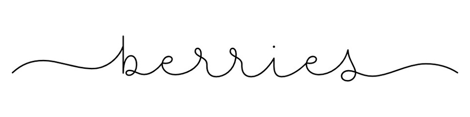 BERRIES black vector monoline calligraphy banner with swashes