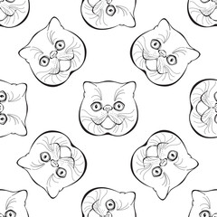 Exotic cat face. Seamless vector pattern. Hand-drawn vector illustration. Animal art background.