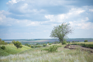 Fototapeta na wymiar Kovel in the fields. Fields of Kovel. Summer nature 