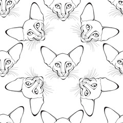 Oriental cat face. Seamless vector pattern. Hand-drawn vector illustration. Animal art background.