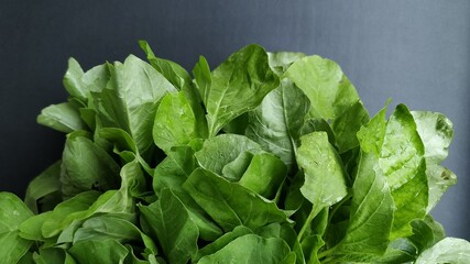 Green spinach on black isolated background