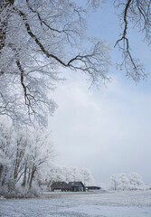 Winter, Snow, Frost. Colony house. Koloniehuisje.  Frederiksoord Drenthe Netherlands. Maatschappij van Weldadigheid