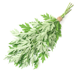 bunch of fresh mugwort twigs isolated on white background, top view