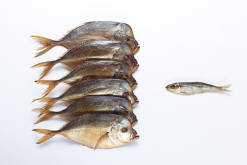 dry fish,view of top,flatlay,one small and many big