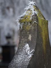 Thombstones. Cemetry Wilhelminaoord. Graveyard. Winter. Snow. Frost. Ripe. Frederiksoord Drenthe Netherlands. Maatschappij van Weldadigheid