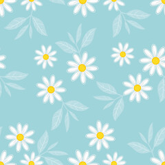 Daisy flower and leaves on blue background vector.