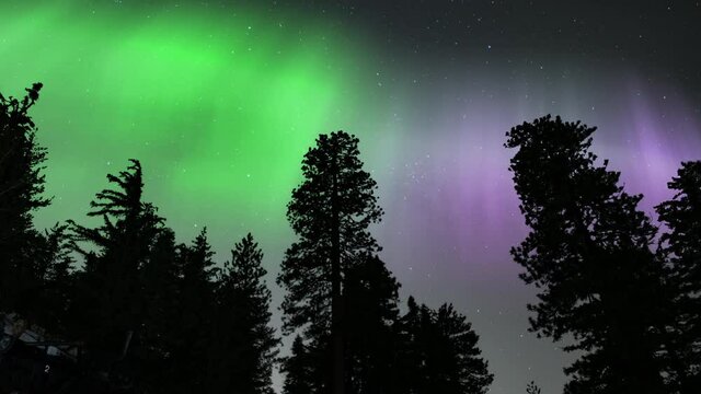 Aurora Over Pine Trees Silhouette and Ski Lifts Loop