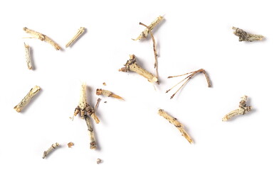 Dry crumbled, broken up twigs pile isolated on white background, top view, plant texture