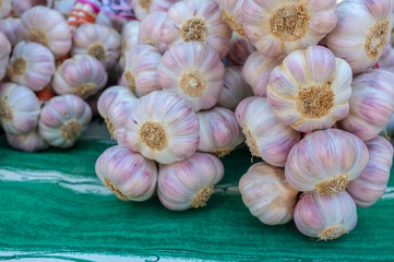 Garlic for sale at the market