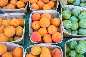 Apricots and prunes at the market