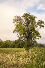 Obraz premium hiking in the mountain