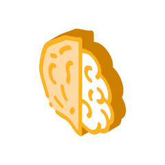 Walnut Nut Icon Vector. Isometric Walnut Nut sign. color isolated symbol illustration