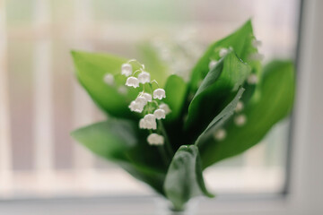lilies of the valley in white room