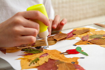 Obraz na płótnie Canvas Girl makes an application from dry leaves. Children applique on the autumn theme. Hedgehogs and apple