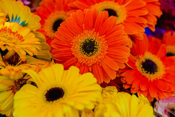 large bouquet of red and yellow flowers. bouquet of red and yellow spring flowers. flowers for a gift.