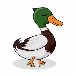 Duck Cartoon Cute Isolated