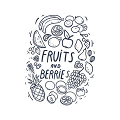 Fruits and berries hand drawn doodles. Cartoon illustration.