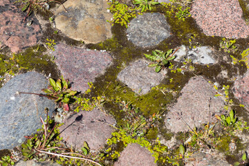 old stones, grass and moss between them (road in the garden)