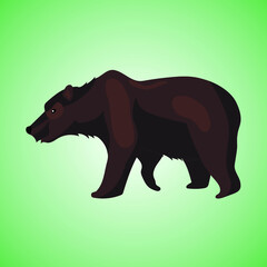 bear, predatory animal, vector illustration