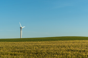 Einzelne Windturbine auf einer Wiese gegen blauen Himmel mit Kornfeld. Unscharfer Vordergrund, Odenwald, Hessen, Deutschland