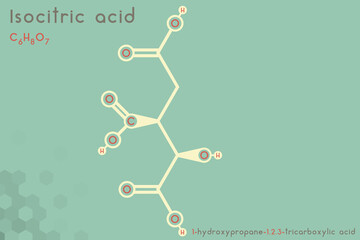 Fototapeta premium Large and detailed infographic of the molecule of Isocitric acid