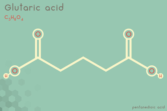 Large and detailed infographic of the molecule of Glutaric acid