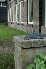 Historic farm. Hoeve Werkhorst. Vledderveen. Waterwell. Maatschappij van Weldadigheid Drenthe Netherlands. 