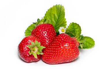 Strawberries with leaves. Isolated on a white background.