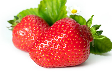 Strawberries with leaves. Isolated on a white background.