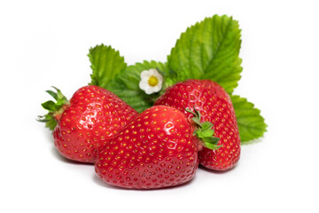Isolated strawberries. Three fruits, one cut in half on white background