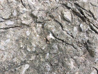 texture of stone