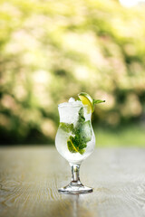 Refreshing cool mojito cocktail with ice and mint 