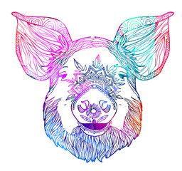 Obraz premium Domestic pig. Doodling coloring book. A drawing with many details. Meditative coloring. Dots, strokes, patterns.