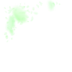 Green flower petals falling down. Exotic romantic 