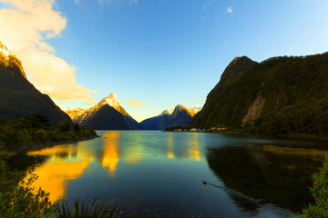 Morning Scenery of Milford Sound, South Island, New Zealand