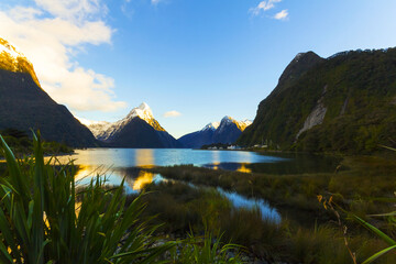 Morning Scenery of Milford Sound, South Island, New Zealand