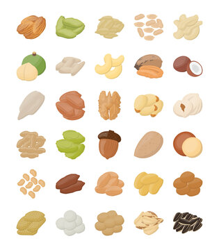 Nuts Flat Icons Pack