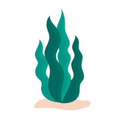 Algae, underwater plants. Marine life, seabed ecosystem. Cartoon vector isolated illustration on a white background.