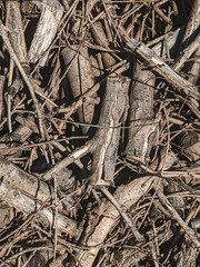 pile of cut branches background