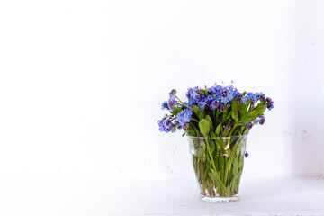  Blue wildflowers in a glass cup against a white wall. White background. Forget me nots.