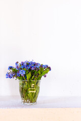 Blue wildflowers in a glass cup against a white wall. White background. Forget me nots.