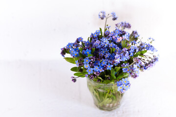 Blue wildflowers in a glass cup against a white wall. White background. Forget me nots.