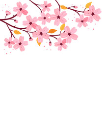 Cherry blossom branch with leaves on white background vector.