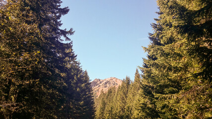 Scenic in Tatra Mountains during entering to Morskie Oko. Landscape in Poland, Europe. © daily_creativity